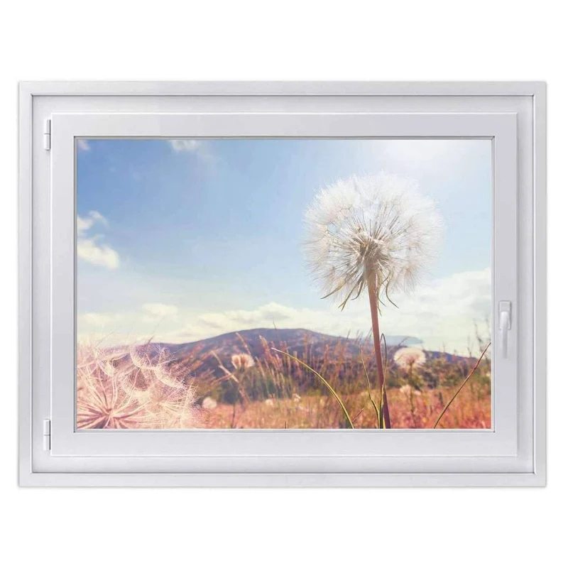 Fensterfolie [quer] - Design: Dandelion