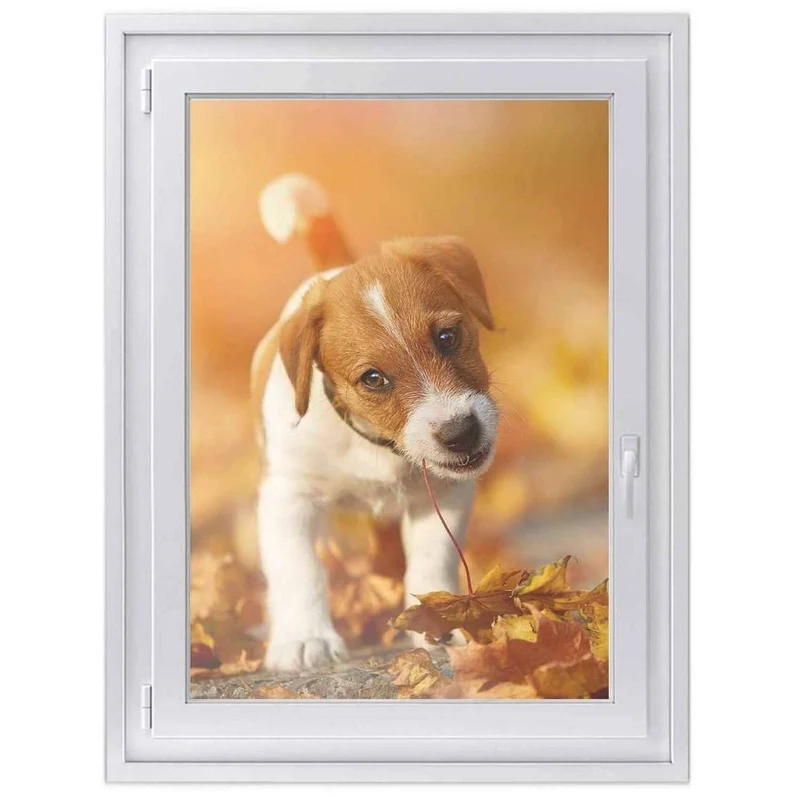 Fensterfolie [hoch] - Design: Jack the Puppy
