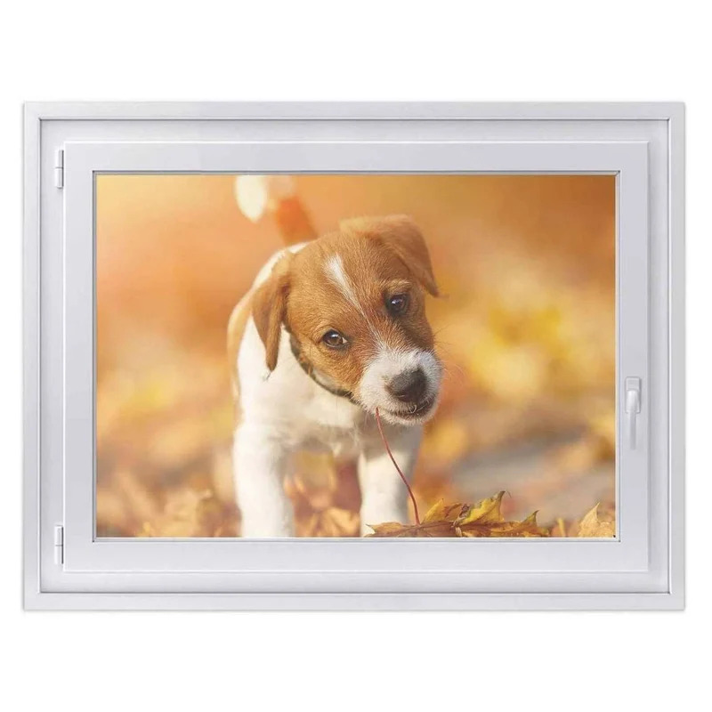 Fensterfolie [quer] - Design: Jack the Puppy
