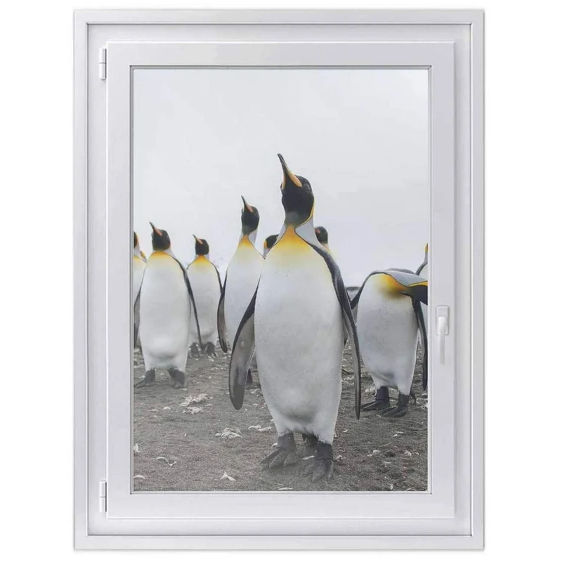 Fensterfolie [hoch] - Design: Penguin Family