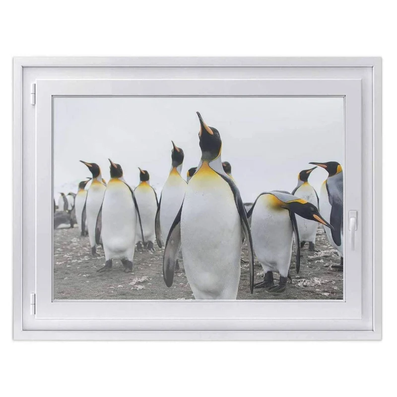 Fensterfolie [quer] - Design: Penguin Family