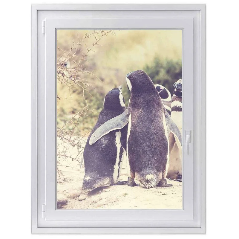 Fensterfolie [hoch] - Design: Pingu Friendship