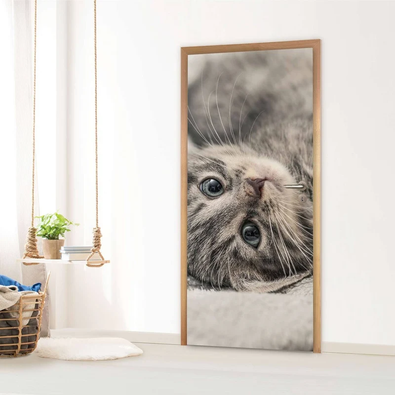 Türfolie - Design: Kitty the Cat
