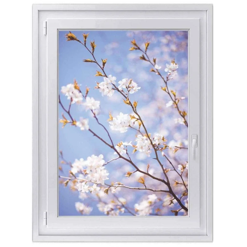 Fensterfolie [hoch] - Design: Apple Blossoms