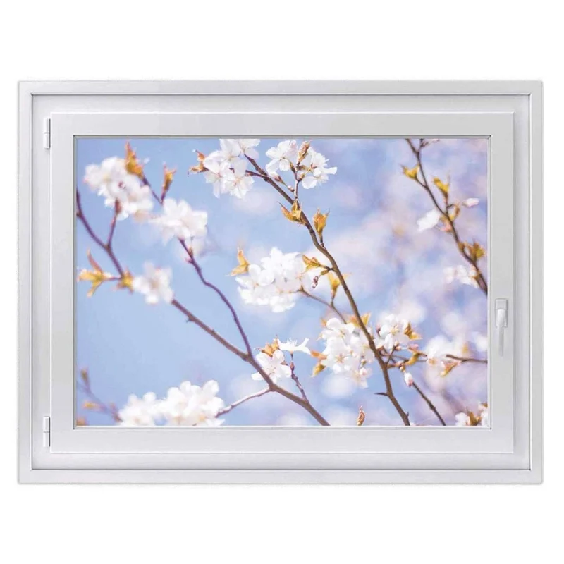 Fensterfolie [quer] - Design: Apple Blossoms