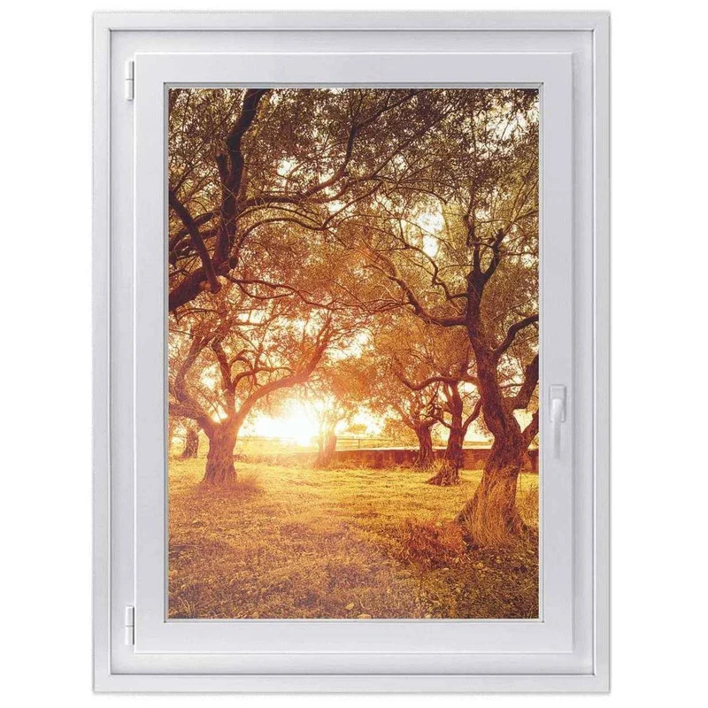 Fensterfolie [hoch] - Design: Tree Sunlight