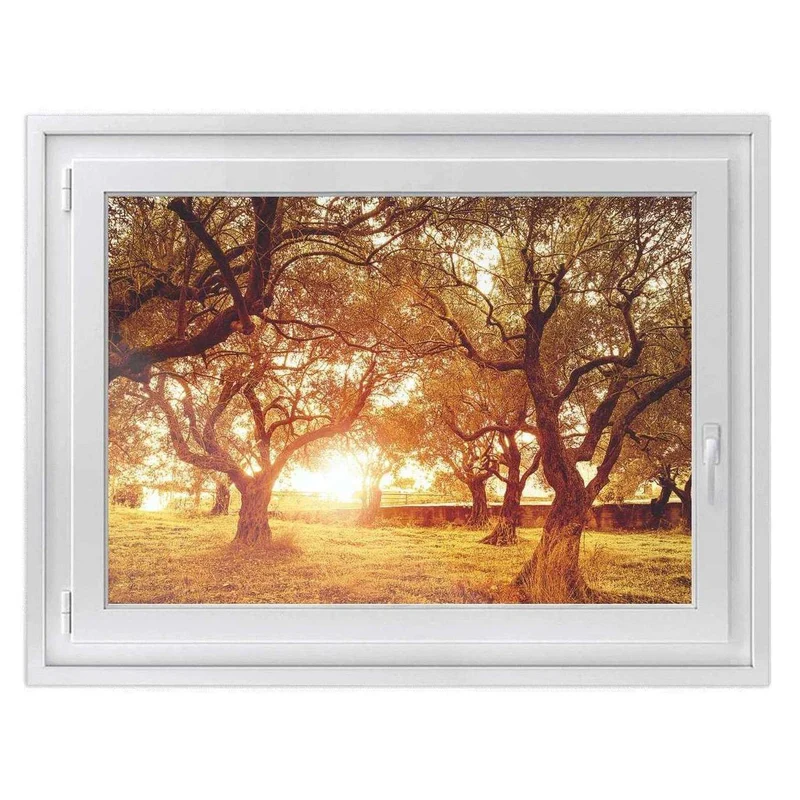 Fensterfolie [quer] - Design: Tree Sunlight