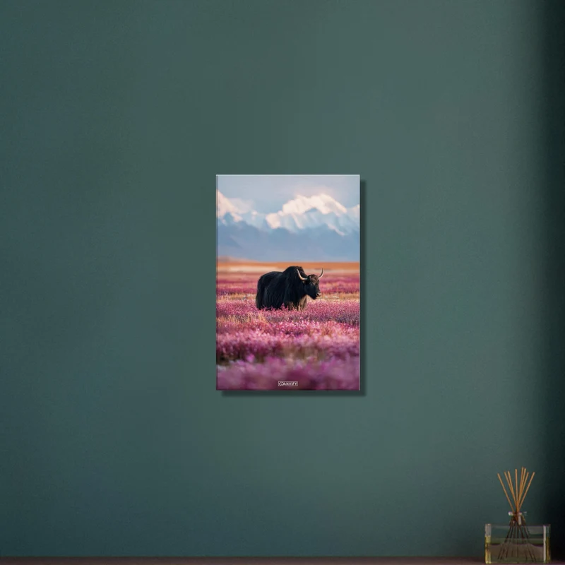 Tibetan Yak in Field of Flowers