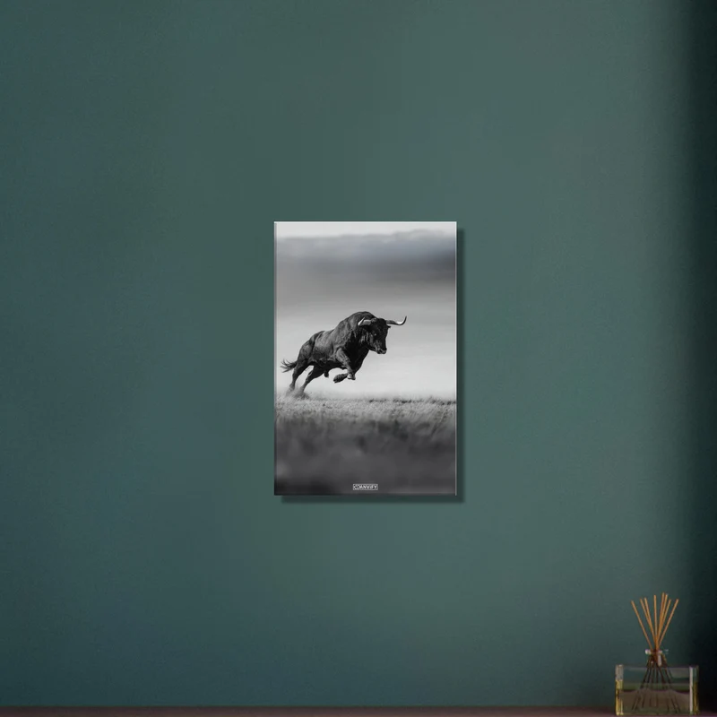 Spanish Bull in Black and White