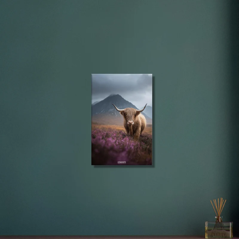 Highland Cow in the Mountains