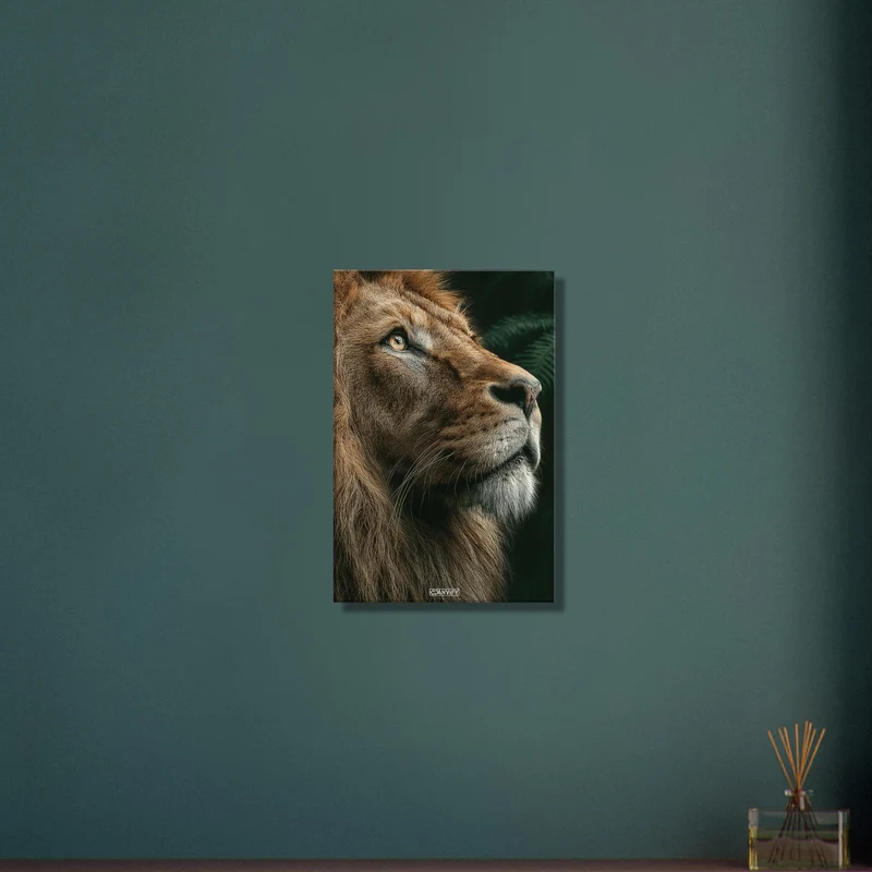 Eyes of the King