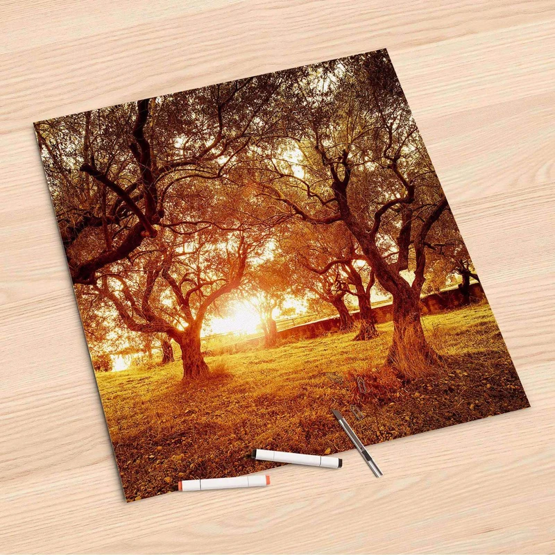 Folienbogen (60x60 cm) - Design: Tree Sunlight