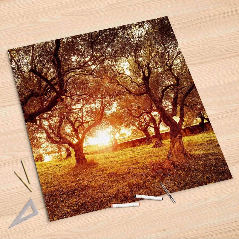 Folienbogen (90x90 cm) - Design: Tree Sunlight