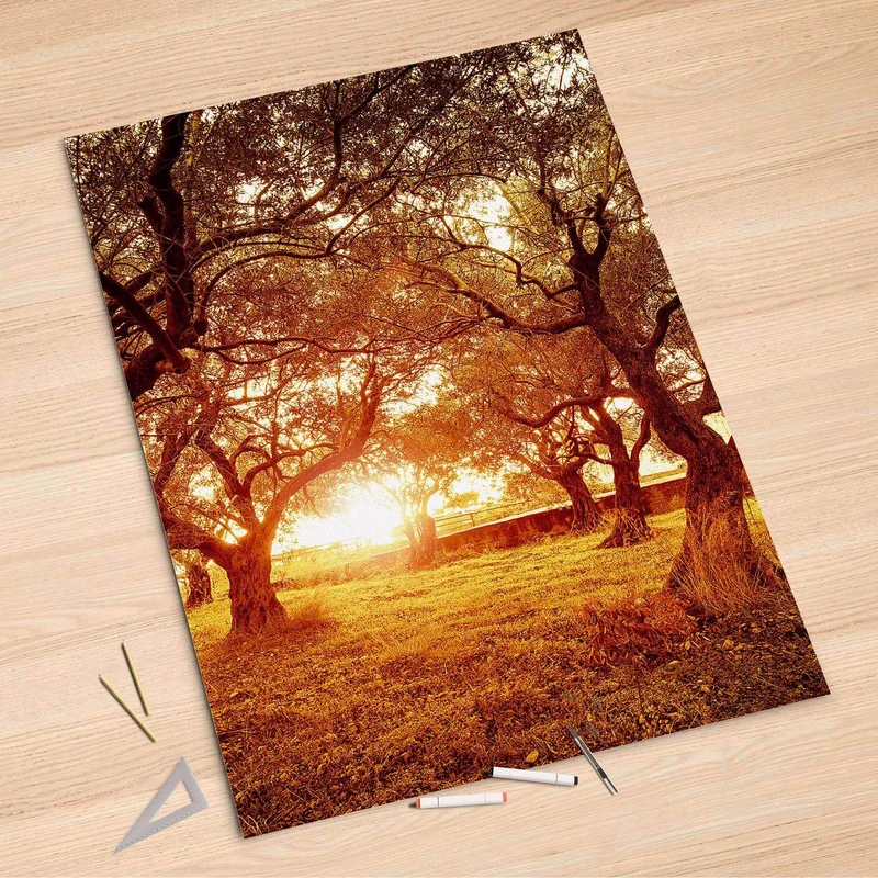 Folienbogen (100x150 cm) - Design: Tree Sunlight