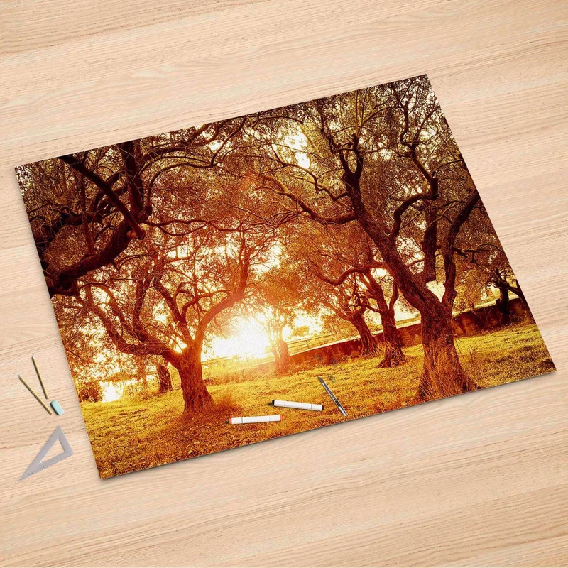 Folienbogen (150x100 cm) - Design: Tree Sunlight