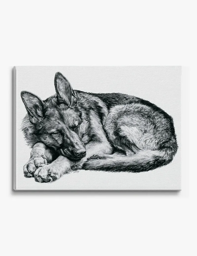 Sleeping German Shepherd Canvas Print
