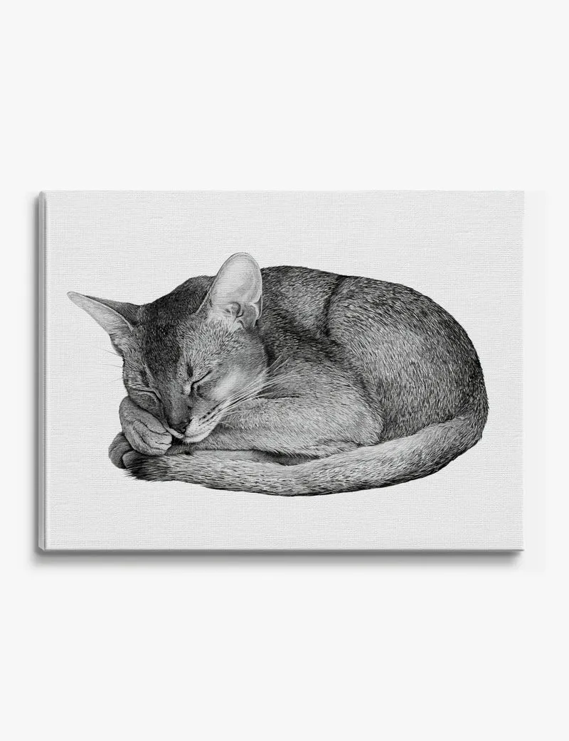 Sleeping Abyssinian Cat Canvas Print