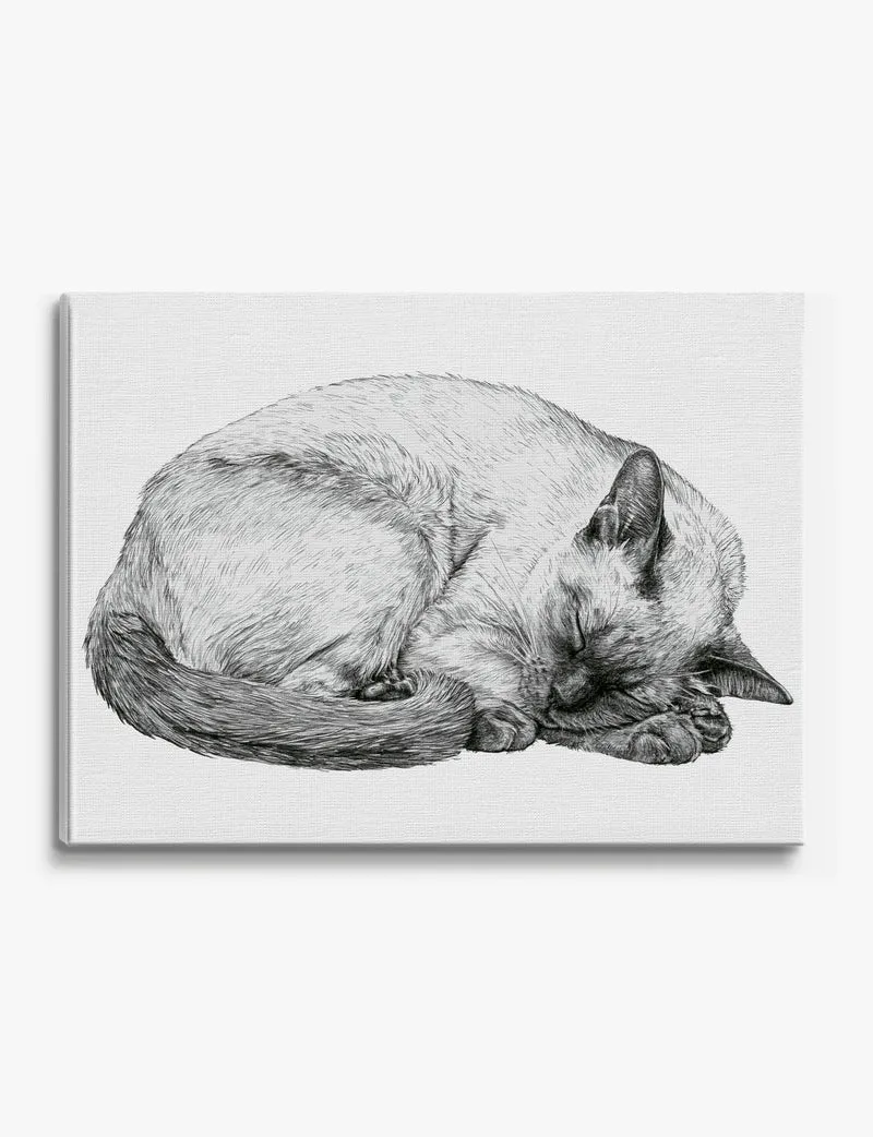 Sleeping Siamese Cat Canvas Print