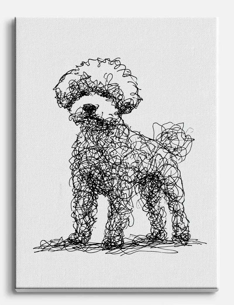 Bichon Frise Scribble Canvas Print