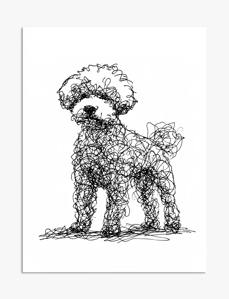 Bichon Frise Scribble Art Print