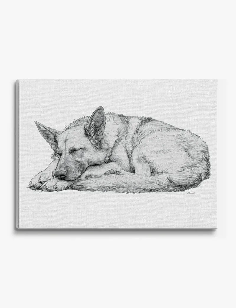 Sleeping German Shepherd Canvas Print