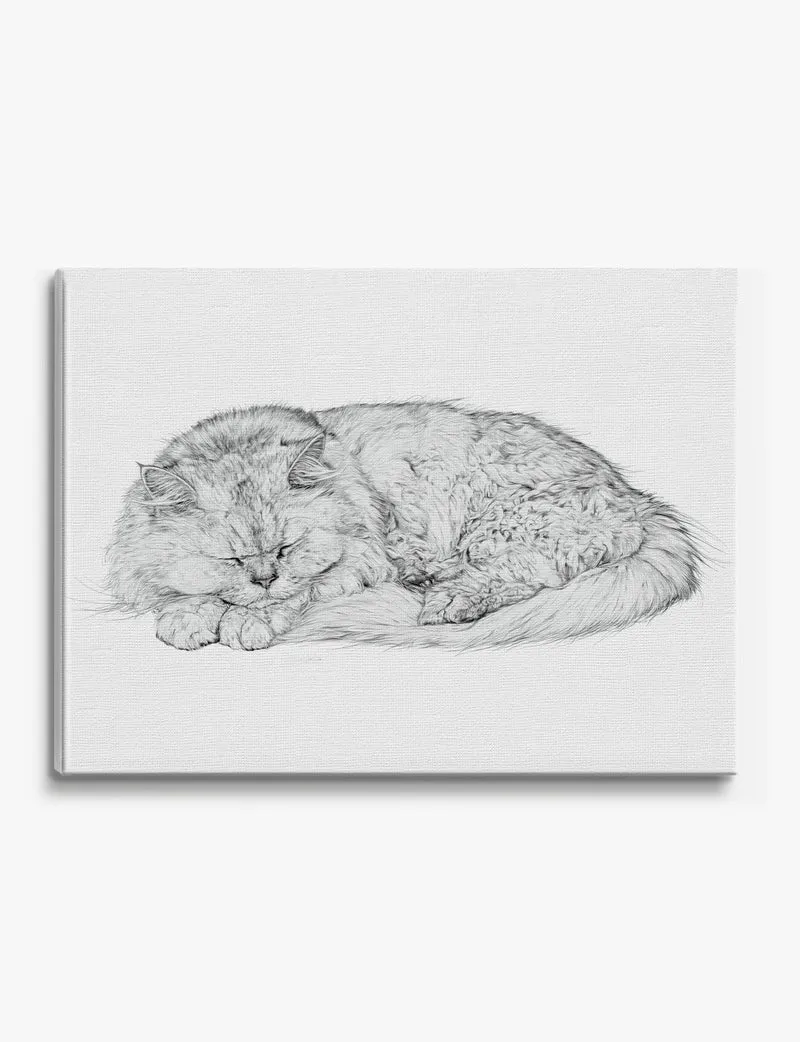 Sleeping Persian Cat Pencil Study Canvas Print