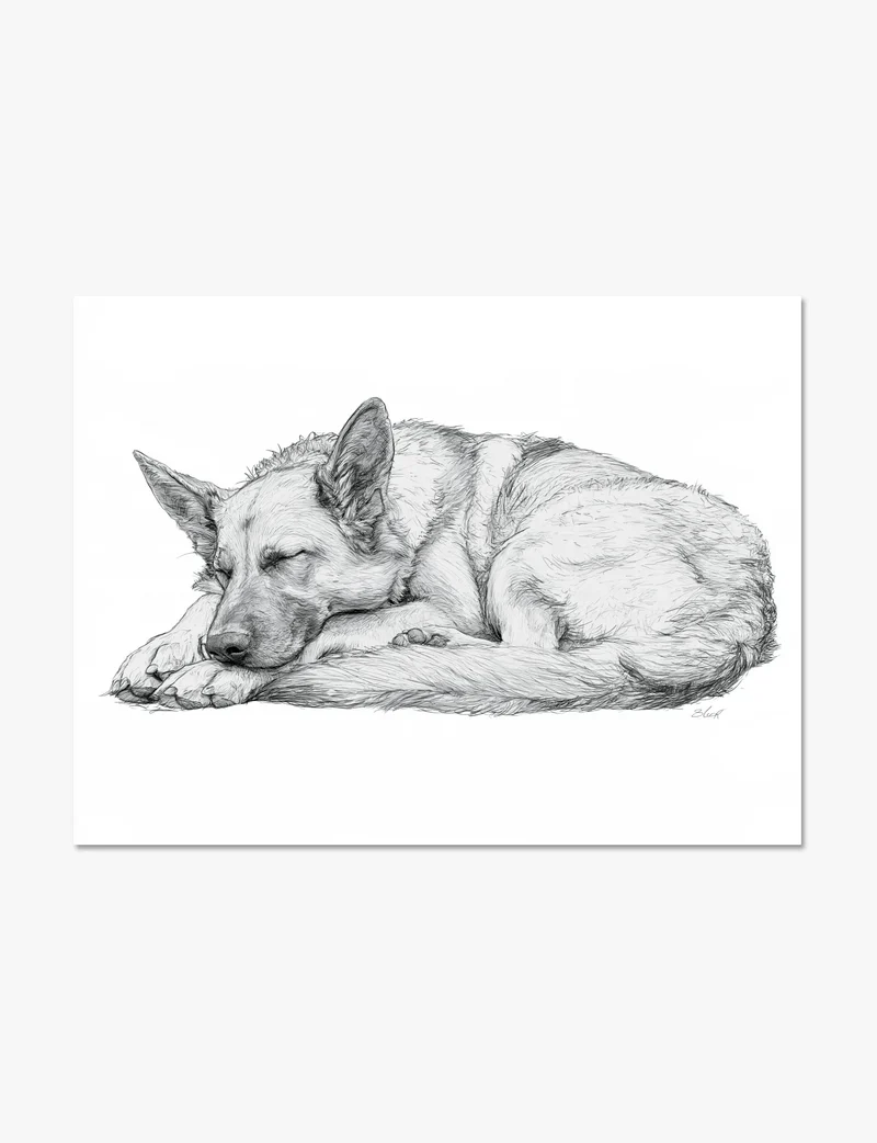 Sleeping German Shepherd Art Print