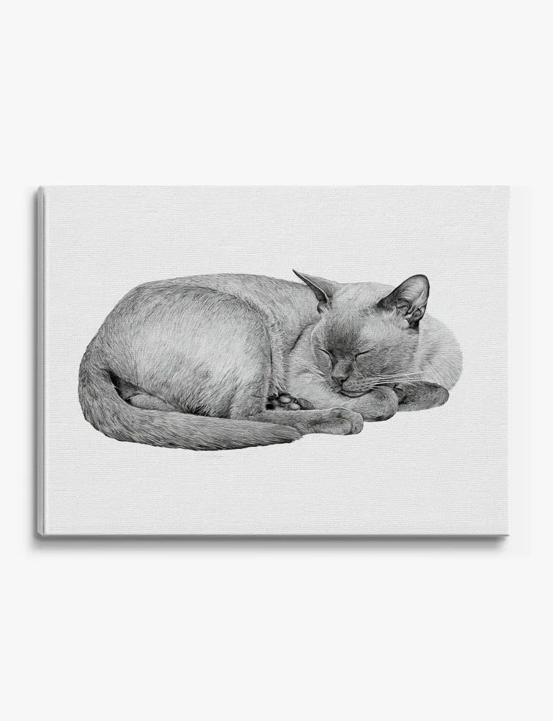 Sleeping Burmese Cat Canvas Print