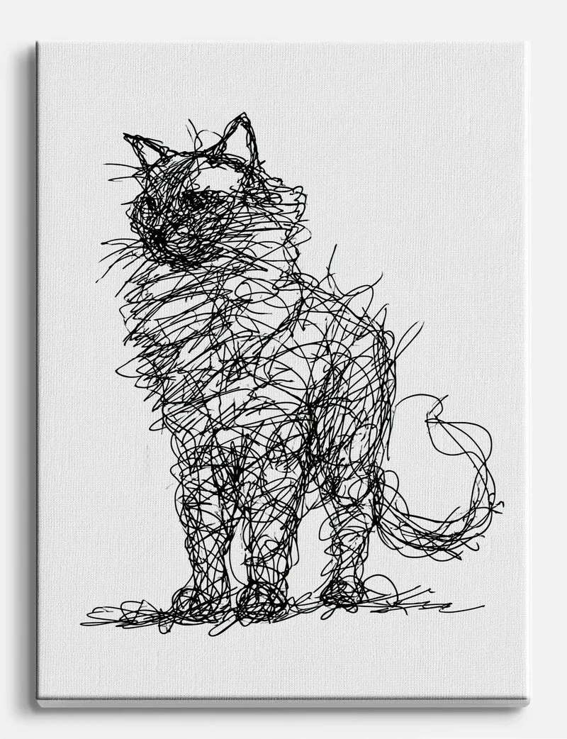 Scribbled Cat Canvas Print
