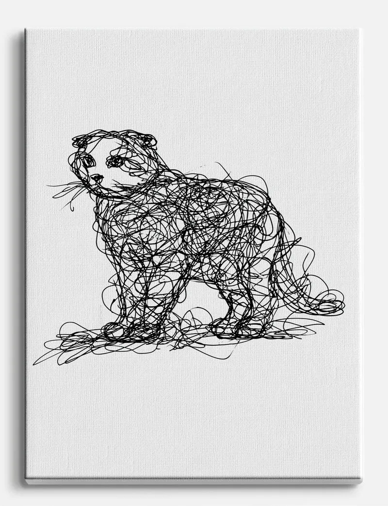 Scribbled Scottish Fold Cat Canvas Print