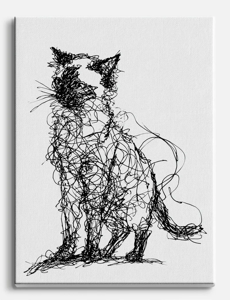 Scribbled Cat Canvas Print