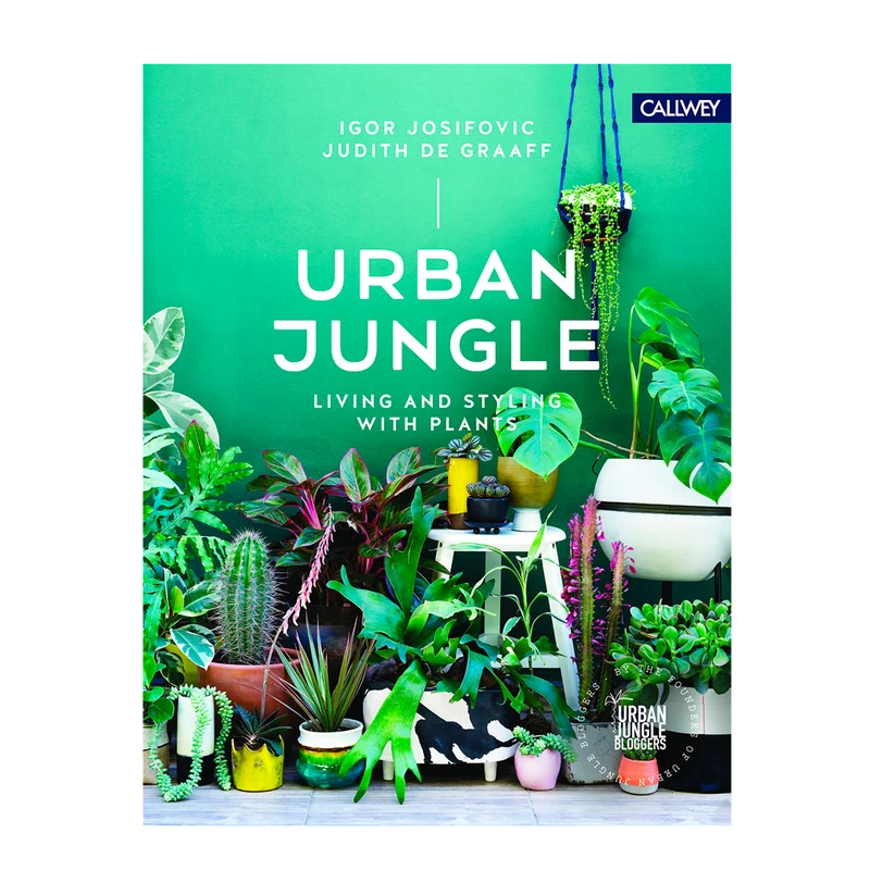 Urban Jungle