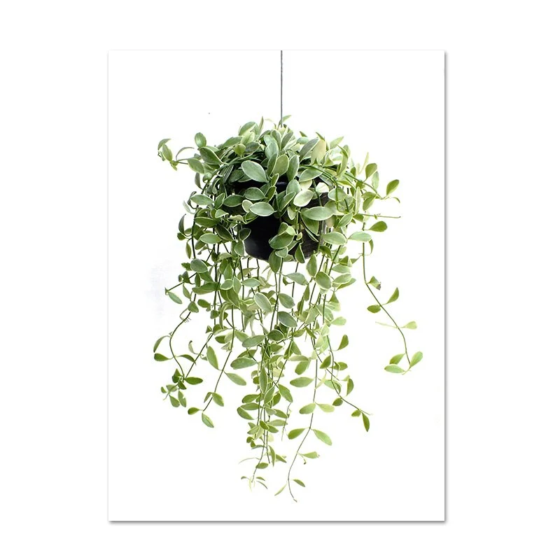 Eucalyptus & Succulent Prints