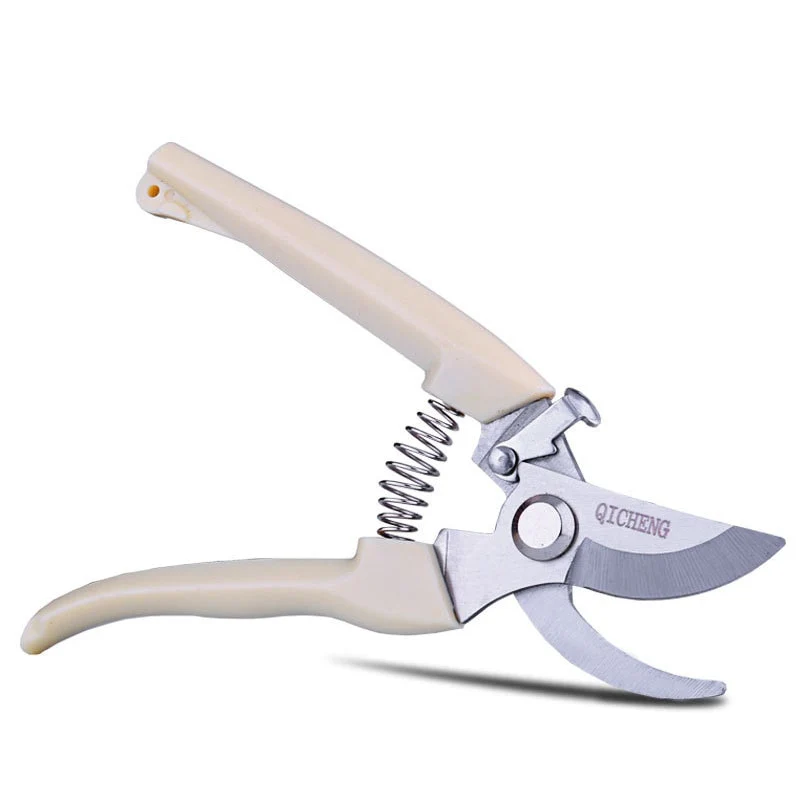 Pruning Shears