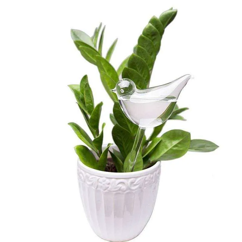Bird Watering Bulb