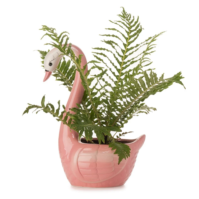 Swan Planter - Pink