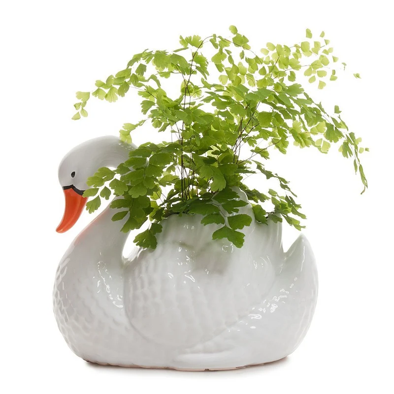 Swan Planter - White