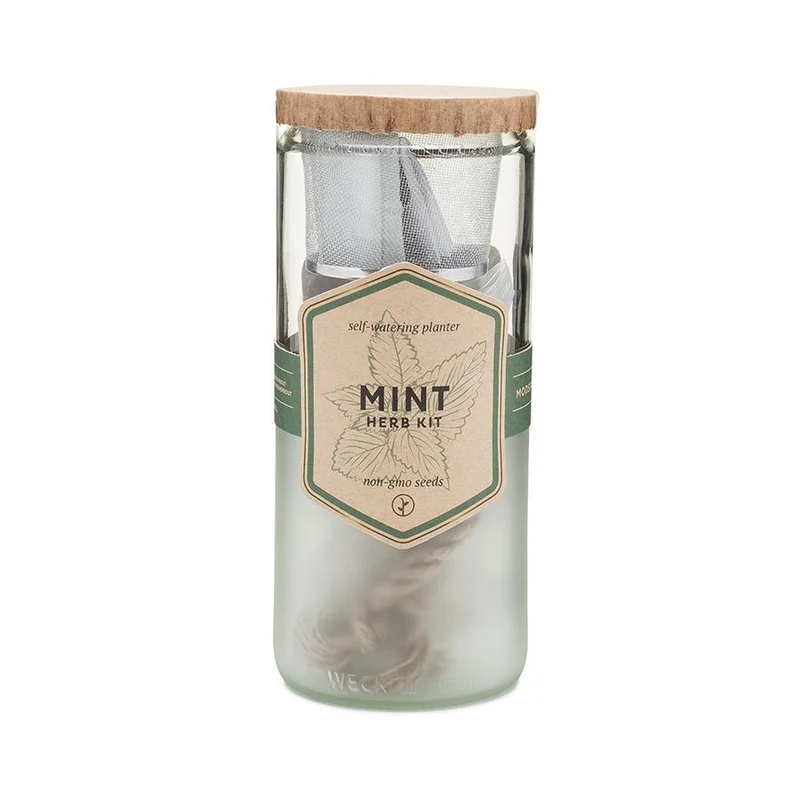 Eco Planter - Mint