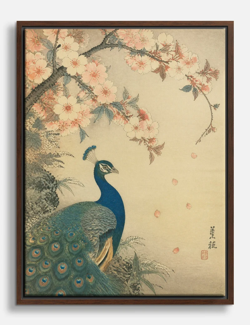 Peacock Under Cherry Blossom Canvas Print