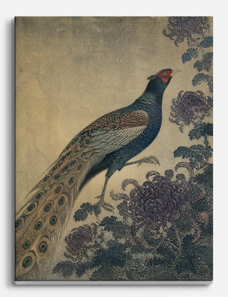 Pheasant and Chrysanthemums Canvas Print