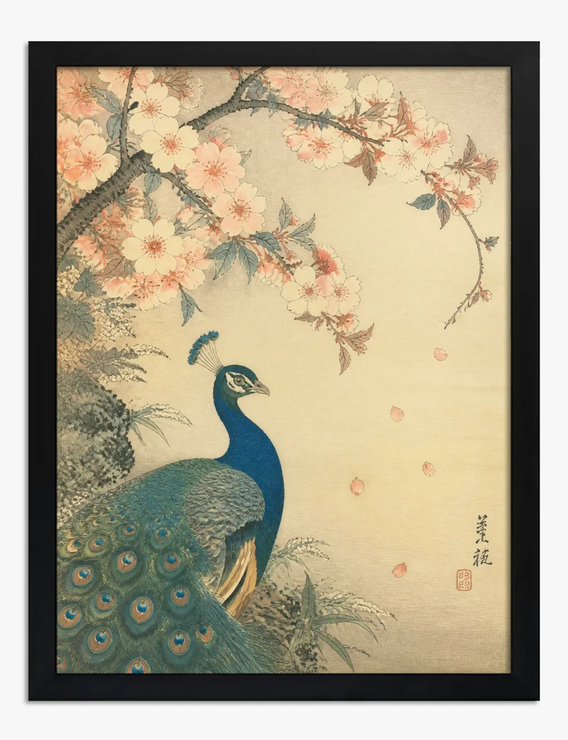 Peacock Under Cherry Blossom Art Print