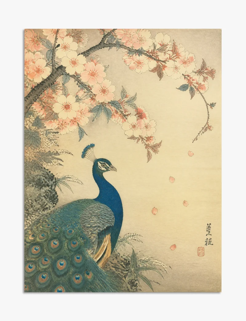 Peacock Under Cherry Blossom Art Print