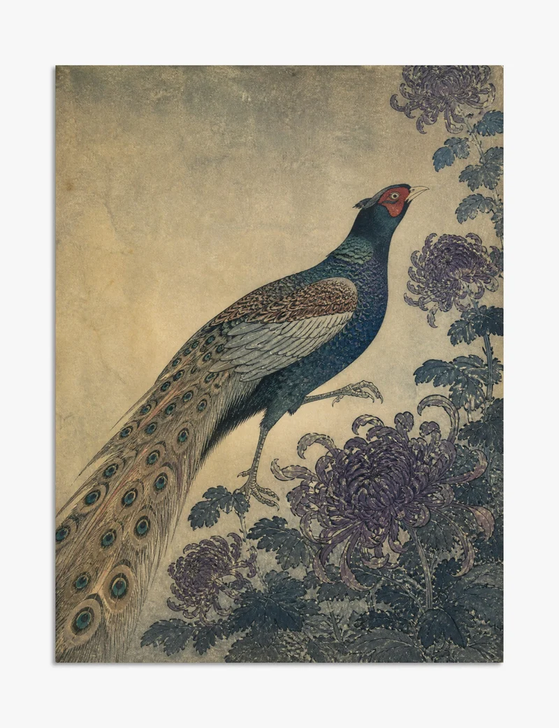 Pheasant and Chrysanthemums Art Print