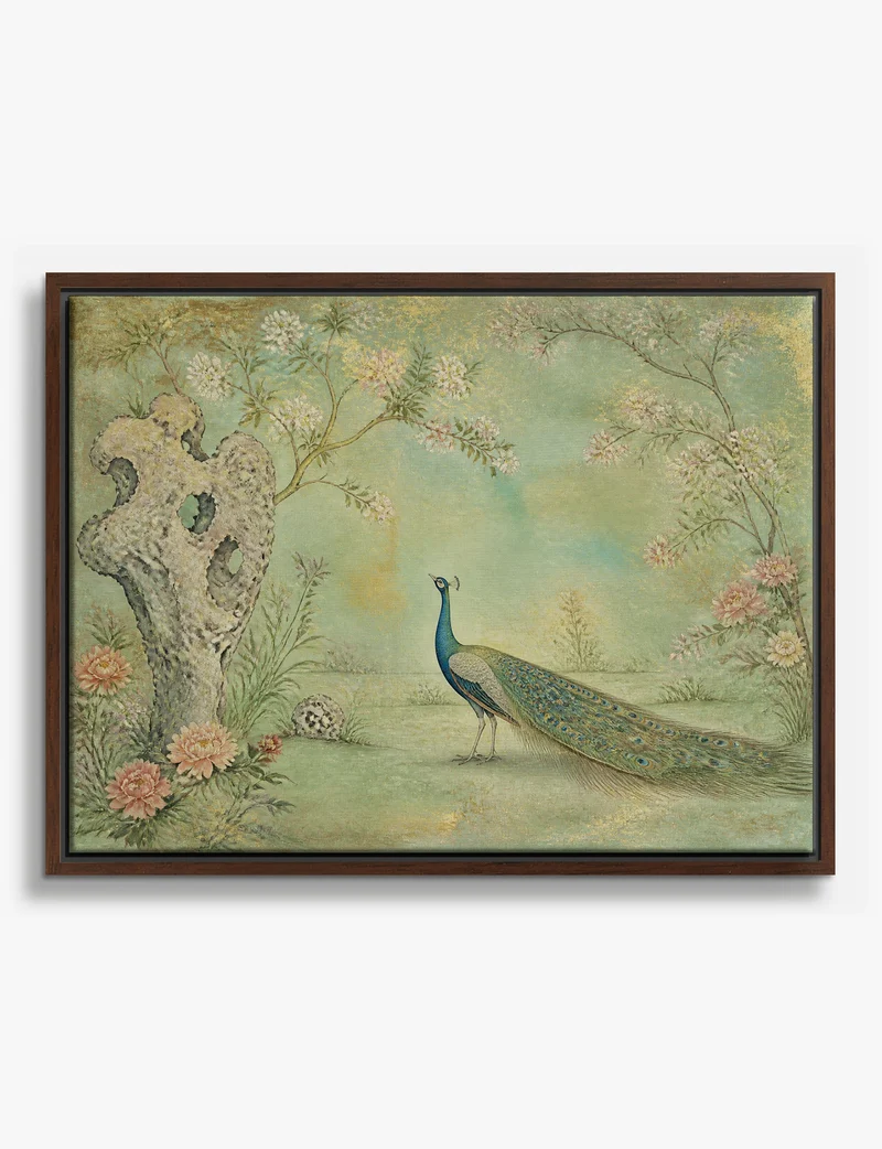 Peacock in a Blossom Garden Canvas Print