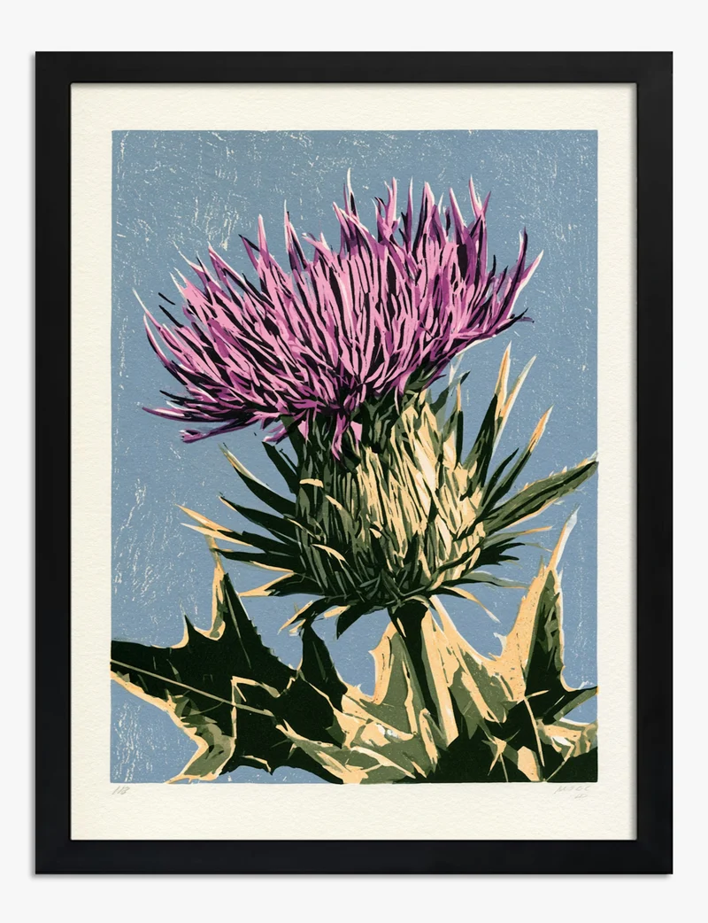 Thistle in Bloom Linocut Art Print