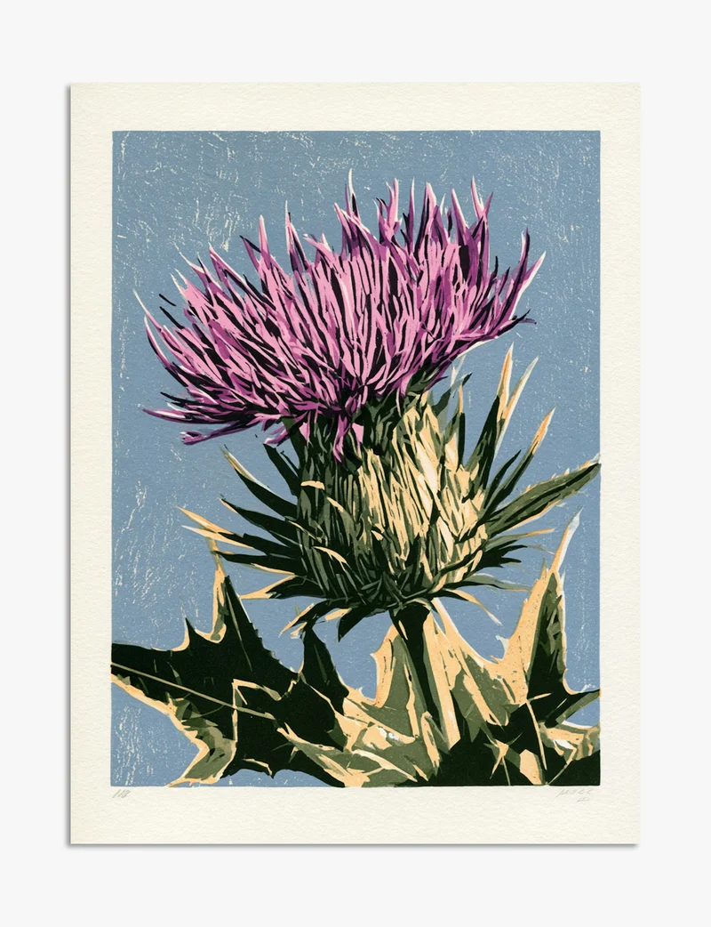 Thistle in Bloom Linocut Art Print