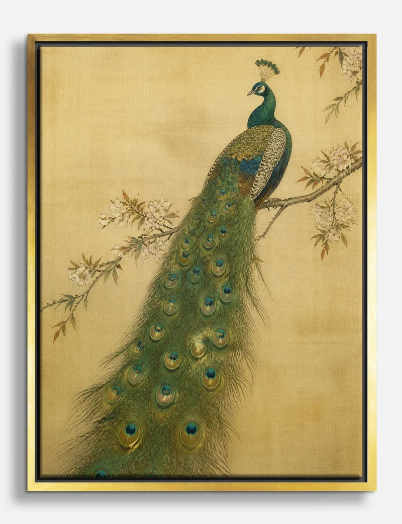 Peacock on a Blossom Branch Canvas Print