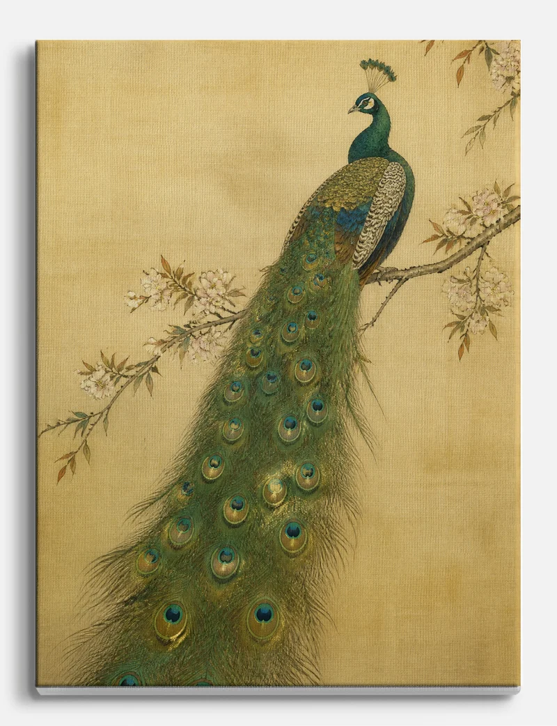 Peacock on a Blossom Branch Canvas Print