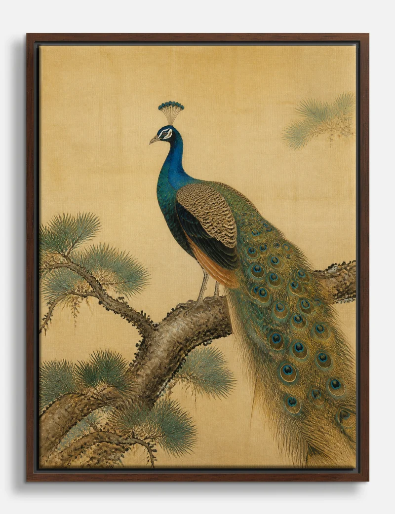 Peacock on a Pine Branch Canvas Print