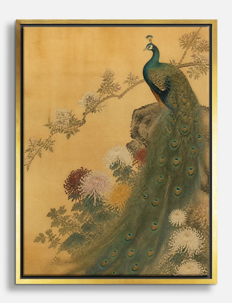 Peacock and Chrysanthemums Canvas Print